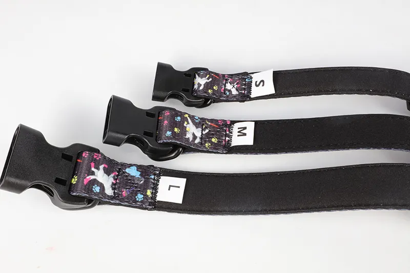 Designer, milieuvriendelijke, dubbellaagse hondenhalsband - hoge kwaliteit en trendy 2