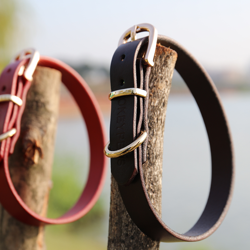 OKEYPETS - Okeypets Engros Farverig Ko Hurtigudløser Holdbar Sikker Kraftig Læder Hundehalsbånd Premium Alle produkter 9