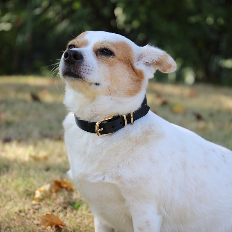 OKEYPETS - OKEYPETS Supplies Pet Accessories Soft Dog Collars Hand-made Luxury Eco Friendly Comfortable Royal Blue Leather Dog Collar All products 8