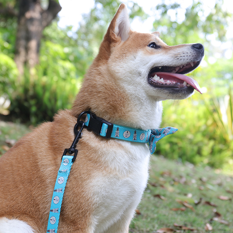 OKEYPETS - Accesorii OKEYPETS pentru animale de companie, lanț pentru zgarzi cu flori, zgarzi rezistente de designer pentru câini, în vrac, zgardă pentru animale de companie 8