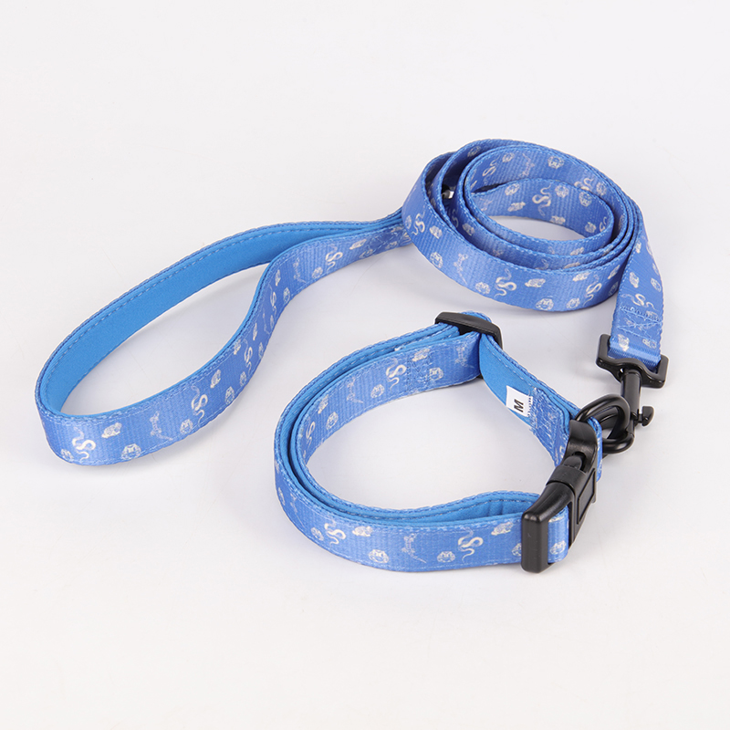 OKEYPETS - OKEYPETS Nízke MOQ Potreby pre domáce zvieratá Sada obojkov Vodítko Roztomilé obojky pre domáce zvieratá šetrné k pokožke pre psy Sada obojkov/postrojov pre psov 23