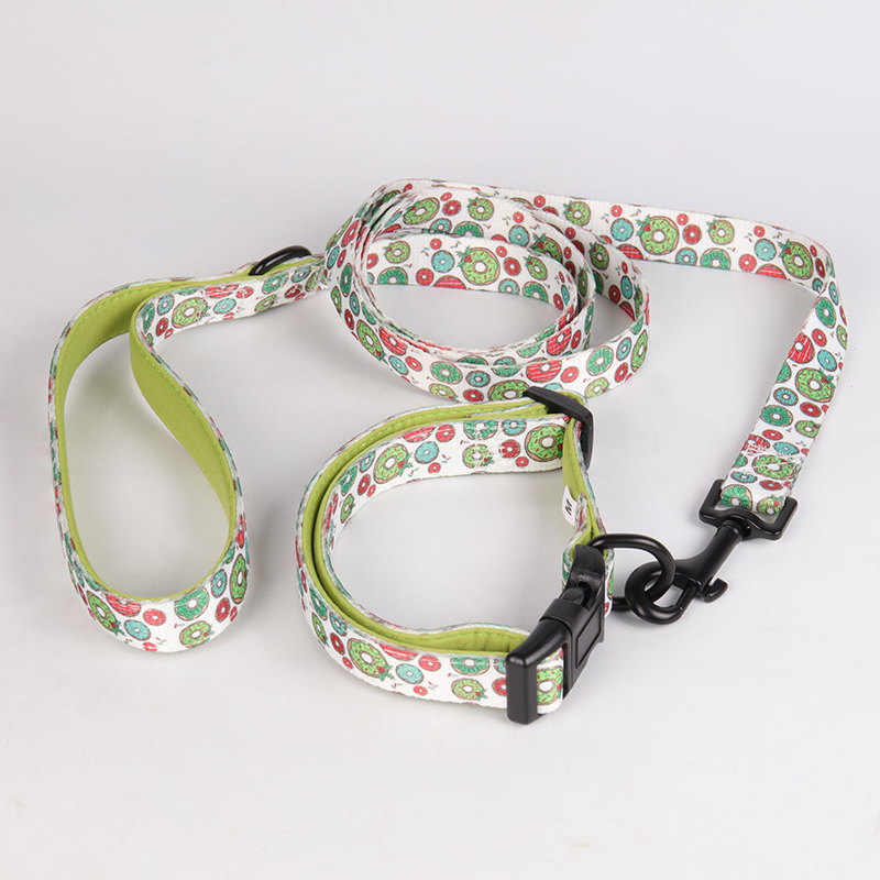 OKEYPETS Collier et laisse pour chien en néoprène sublimé avec quincaillerie de qualité supérieure et boucle de sécurité 18