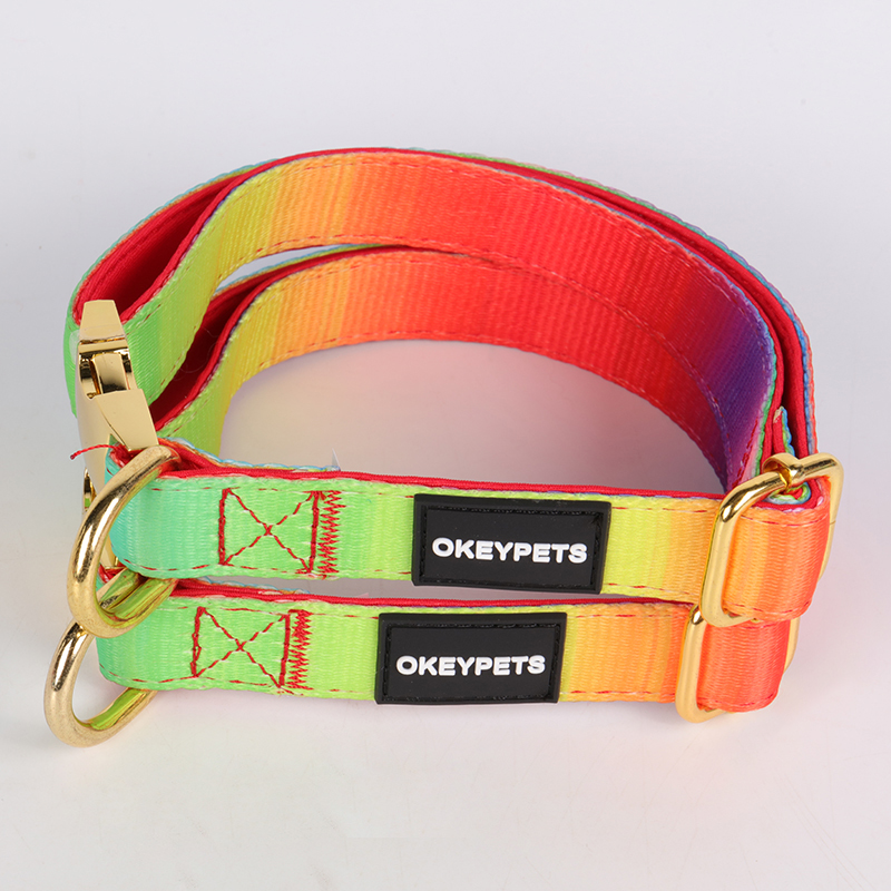 OKEYPETS - OKEYPETS Manufactures Pet Collars Bulk Wholesale Colorful Custom Stylish Design Adjustable Dog Collar Belt Neoprene Dog Collar 14