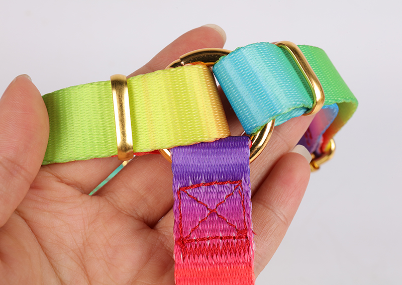 OKEYPETS - Tali Kekang Haiwan Peliharaan Luar Pukal Mudah Berjalan Leher Boleh Laras Tali Kekang Dada Pelbagai Warna Ringan Tahan Lama Untuk Anjing 11