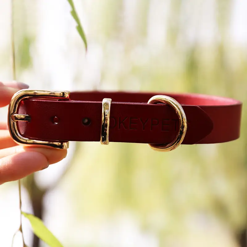 OKEYPETS - Kolar Haiwan Peliharaan OKEYPETS Disesuaikan Kolar Anjing Kulit Ukiran Merah Licin Lembut Kuat Selesa Semua produk 1