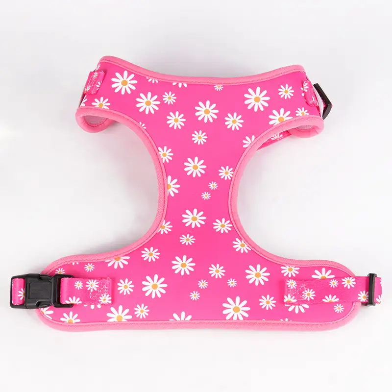 OKEYPETS - Okeypets Pet Easy Walk Fashion Pattern Sublimation Design Pettorina per cani in rete anti-tiro Tutti i prodotti 1