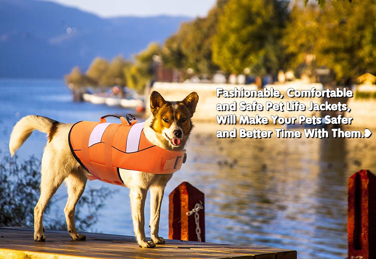 OKEYPETS - Gilet de sauvetage réfléchissant de qualité OKEYPETS en néoprène pour chien, combinaison de natation. Tous les produits 8