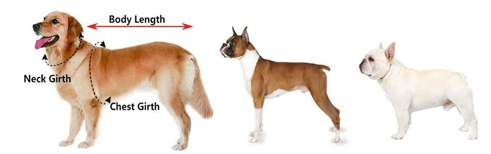 OKEYPETS - Gilet de sauvetage réfléchissant de qualité OKEYPETS en néoprène pour chien, combinaison de natation. Tous les produits 9