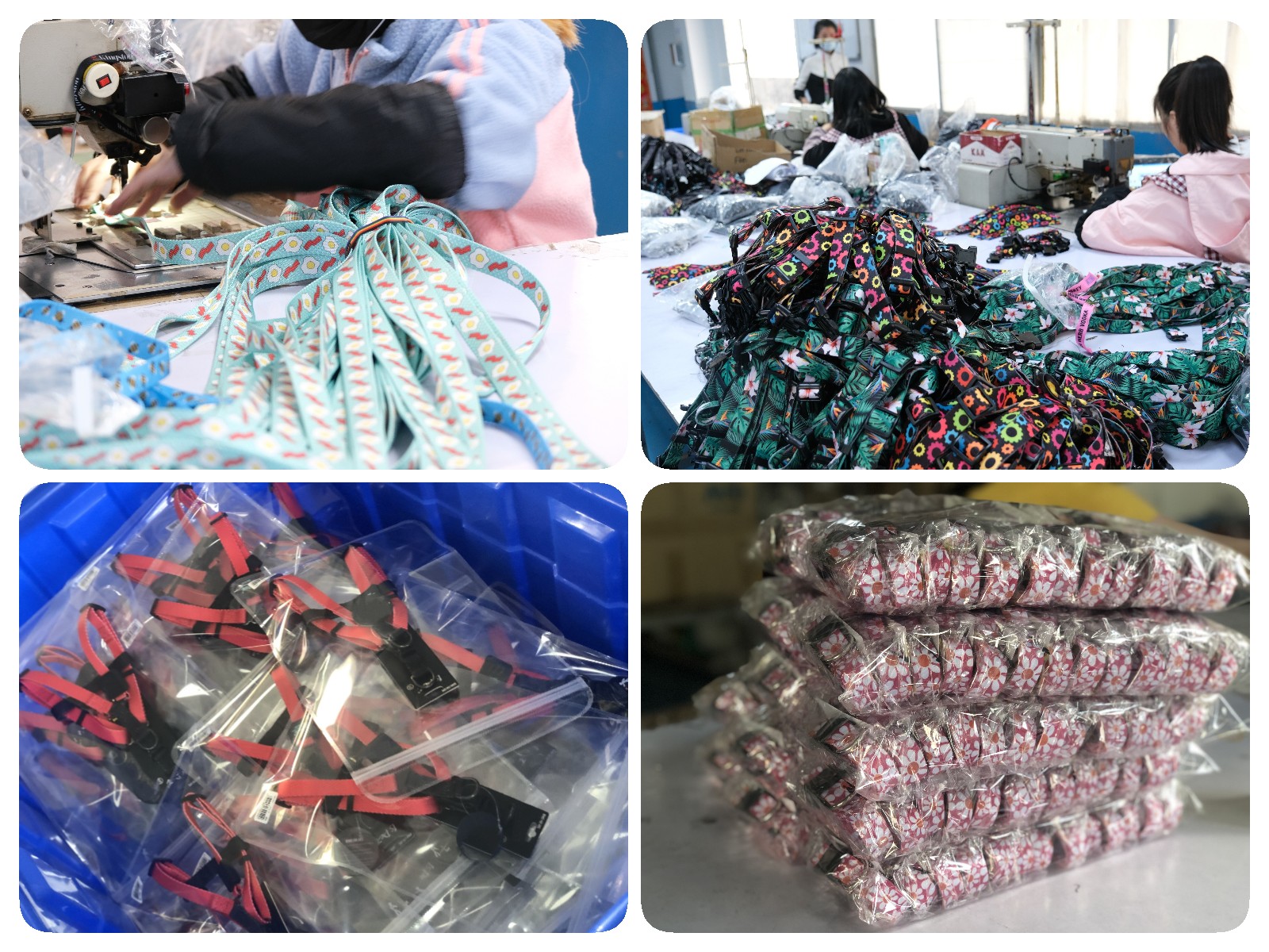 OKEYPETS - Gilet de sauvetage réfléchissant de qualité OKEYPETS en néoprène pour chien, combinaison de natation. Tous les produits 22