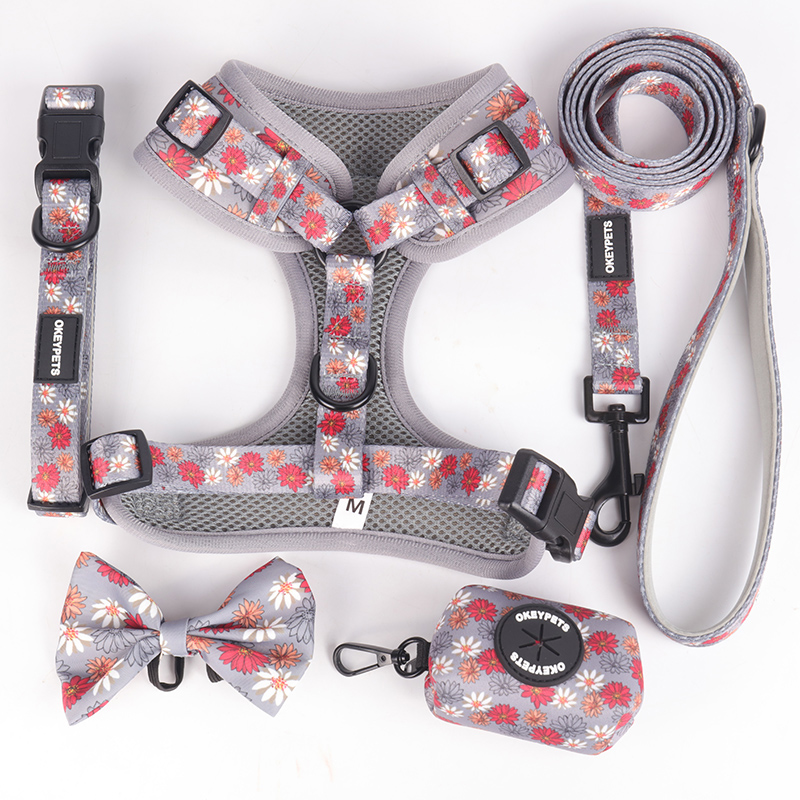 Harnais pour chien Okeypets personnalisé avec impression, réglable, respirant et rembourré en maille aérée, avec laisse. Collier pour animaux de compagnie. 23
