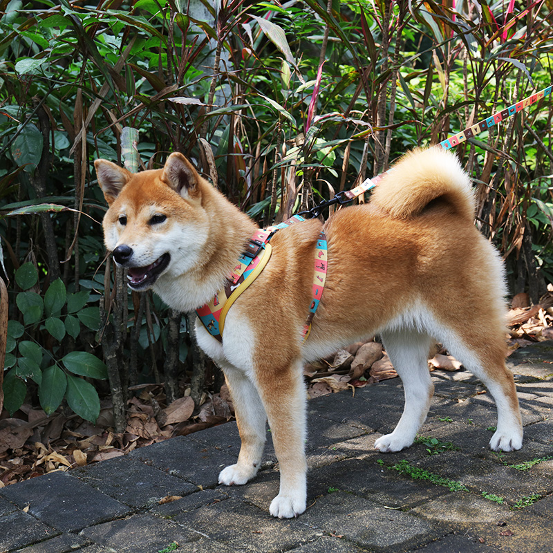 OKEYPETS - OKEYPETS Supplies Personalized Sublimation No Pull Step-in Dog Harness Pet All products 8