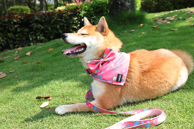 OKEYPETS Bandană triunghiulară personalizată pentru câini, accesorii pentru animale de companie, eșarfă sublimată pentru animale de companie 6