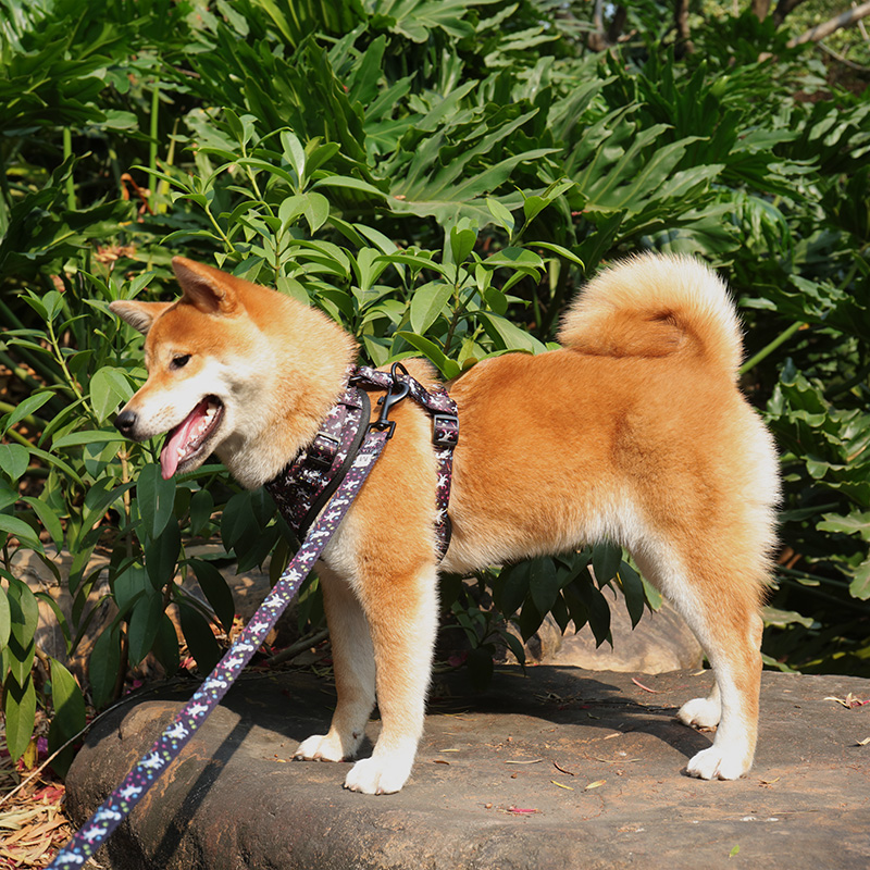 OKEYPETS - OKEYPETS Vente en gros Laisse pour chien personnalisée Halloween, de qualité supérieure, résistante et mignonne, en néoprène 8