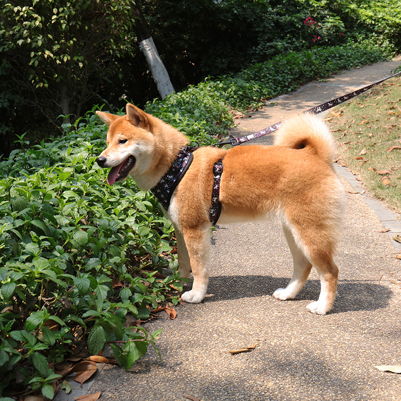 OKEYPETS - Abah-abah Vest Haiwan Peliharaan Label Persendirian Bercorak Percetakan Abah-abah Anjing Fesyen Lembut Selesa Dengan Gesper Bertekstur 7