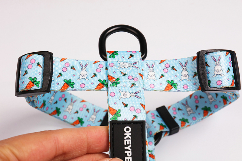 OKEYPETS - Ensemble harnais et laisse pour chien personnalisé en néoprène par sublimation 12