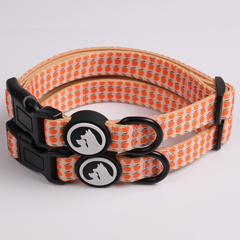 OKEYPETS Ensemble harnais réversible mignon par sublimation, laisse confortable et collier pour chien 13