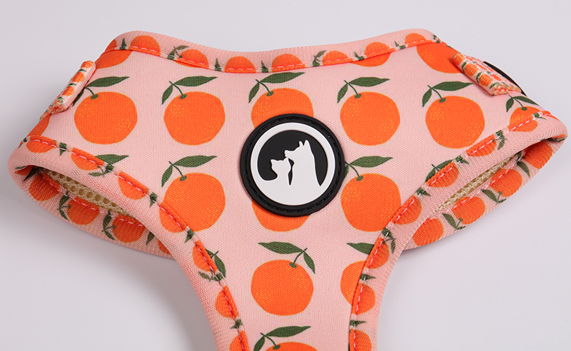 OKEYPETS Ensemble harnais réversible mignon par sublimation, laisse confortable et collier pour chien 16