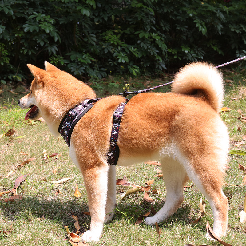 OKEYPETS - Porte-sacs à déjections canines professionnel, sûr et confortable, avec bandana, laisse et nœud papillon. Ensemble collier et harnais pour chien (OEM). 8