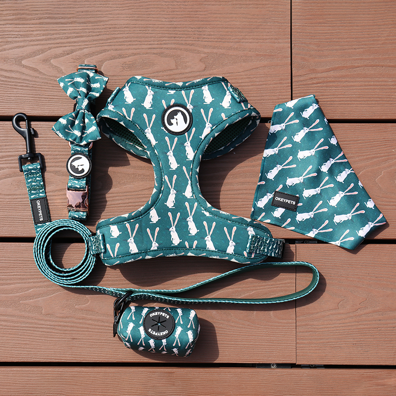 OKEYPETS - OKEYPETS Designers Gilet pour animaux de compagnie Ensemble harnais personnalisé en néoprène avec nœud papillon ajustable et personnalisé, harnais anti-traction pour chien Ensemble collier et laisse pour animaux de compagnie 8