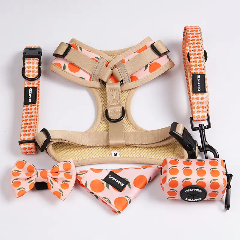 OKEYPETS - OKEYPETS Air Mesh Dog Harness Soft No Pull Pet Adjustable Reversible Dog Harness and Leash Set Pet Collar Leash/Dog Harness Set 1