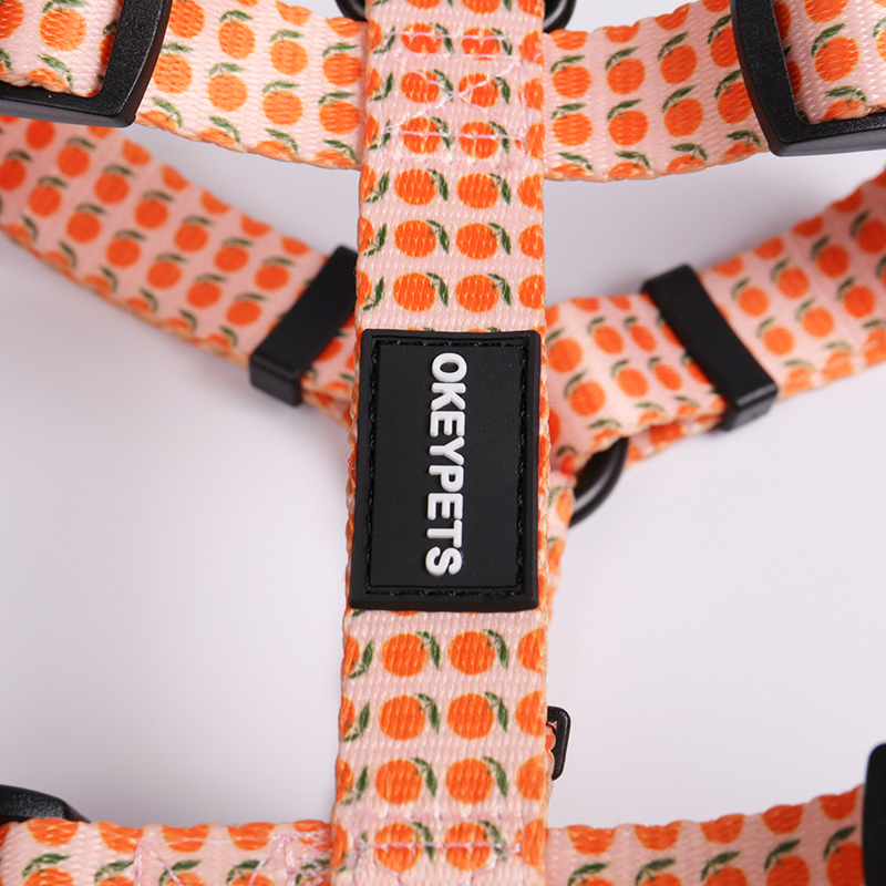 OKEYPETS - Ensemble de 6 harnais pour chien en maille aérée, personnalisable, réversible et ajustable, en néoprène. Collier et laisse inclus. 17