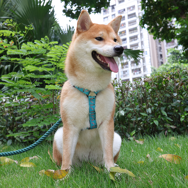 OKEYPETS - OKEYPETS Label Persendirian Pereka Mudah Tanpa Tarik Tahan Lama Aksesori Boleh Balik Abah-abah Anjing Neoprena Abah-abah Haiwan Peliharaan 8