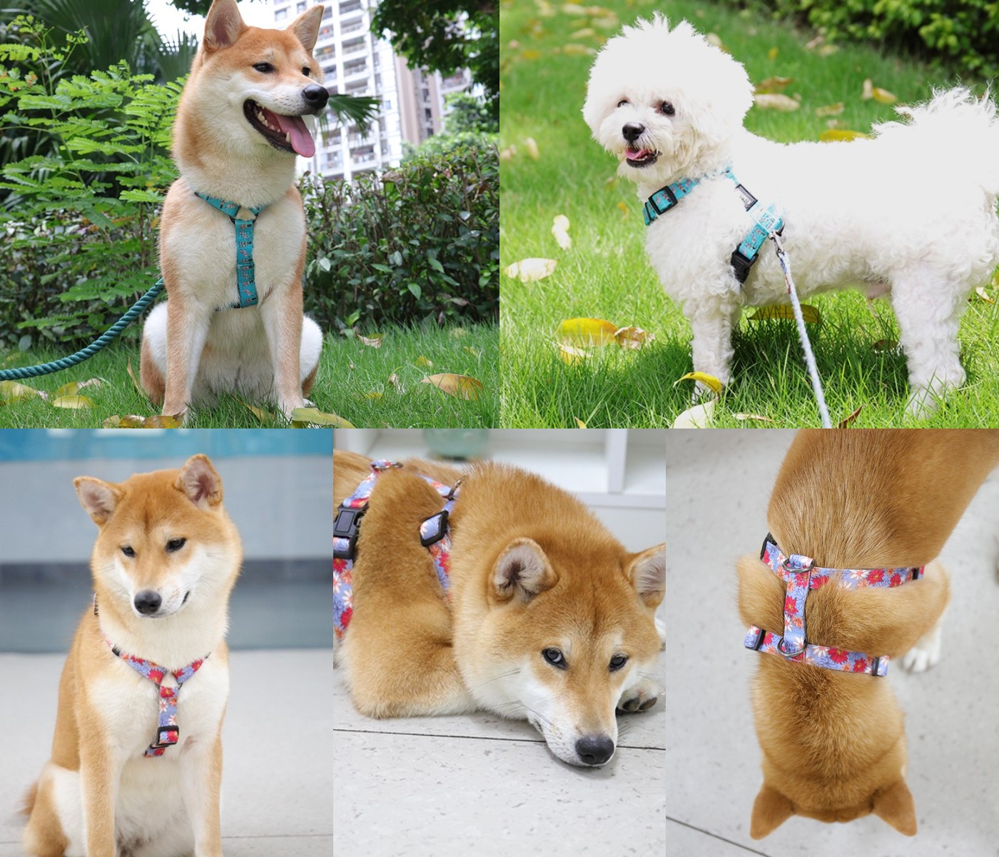 OKEYPETS - Harnais pour chien OKEYPETS Durabilité et résistance, sangle de harnais à dégagement rapide, sac à dos confortable et ajustable, harnais personnalisé en sangle polyester 24