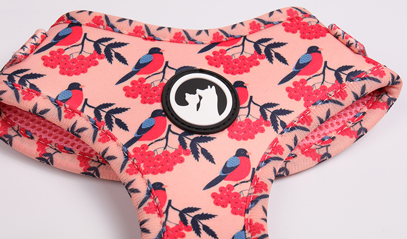 OKEYPETS - OKEYPETS Egyedi Kutyanyakörv Póráz, Strapabíró És Kakizsák Kisállat Háromszög Aranyos Kendő Divatos Kutyahám Szett Személyre Szabott Minden Termék1 17