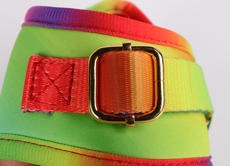 OKEYPETS - OKEYPETS Offre spéciale : laisse pour animaux de compagnie en néoprène respirant et durable, avec harnais et collier/laisse assortis. 18