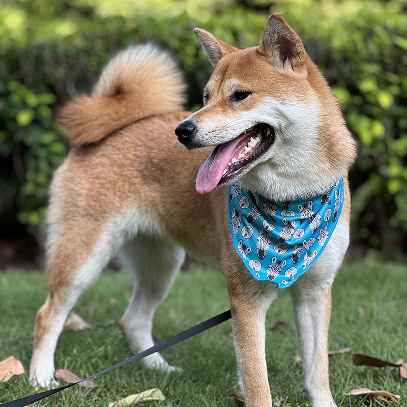 OKEYPETS - OKEYPETS najlepšia cena personalizovaná šatka s logom pre psa, narodeninová šatka pre domáce zvieratá, trojuholníková bandana, módna personalizovaná šatka pre psa, obojstranná šatka pre domáce zvieratá 8