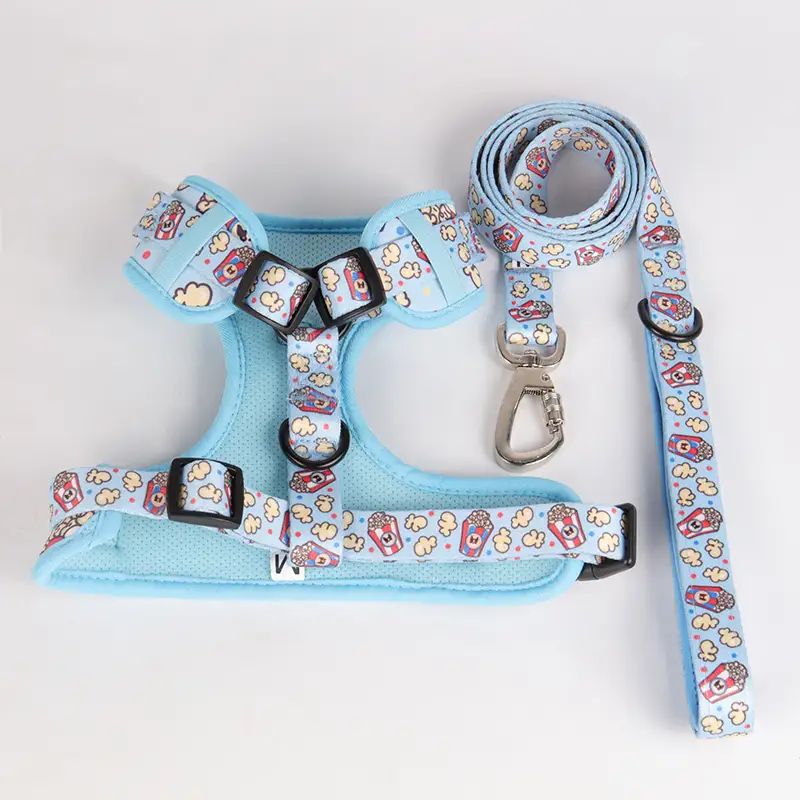 OKEYPETS - OKEYPETS Accessoires pour animaux de compagnie de marque privée Harnais et laisse réglables doublés en maille aérée douce pour chien avec logo Collier et laisse pour chien 1