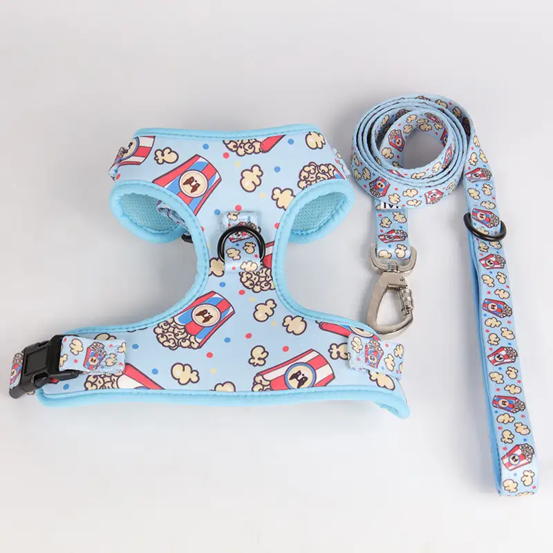 OKEYPETS - OKEYPETS Harnais de luxe pour chien avec sangles de poitrine réglables, laisse légère et facile à promener, en maille aérée respirante. Ensemble collier et laisse/harnais pour chien. 1