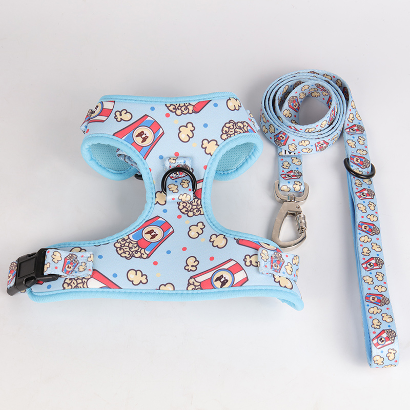 OKEYPETS - OKEYPETS Harnais de luxe pour chien avec sangles de poitrine réglables, laisse légère et facile à promener, en maille aérée respirante. Ensemble collier et laisse/harnais pour chien. 8