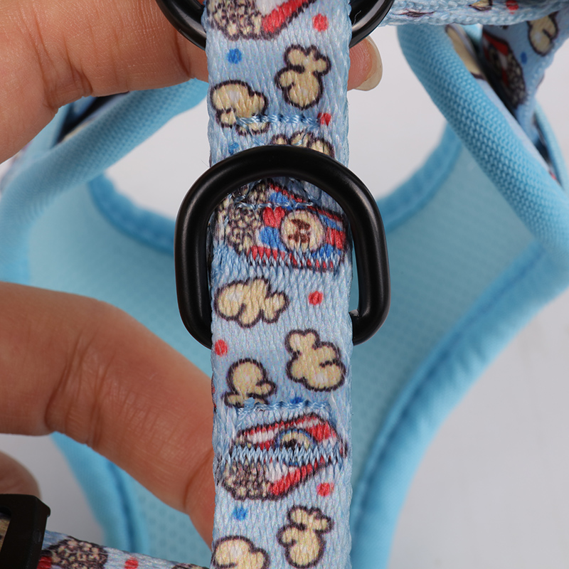 OKEYPETS - OKEYPETS Harnais de luxe pour chien avec sangles de poitrine réglables, laisse légère et facile à promener, en maille aérée respirante. Ensemble collier et laisse/harnais pour chien. 15