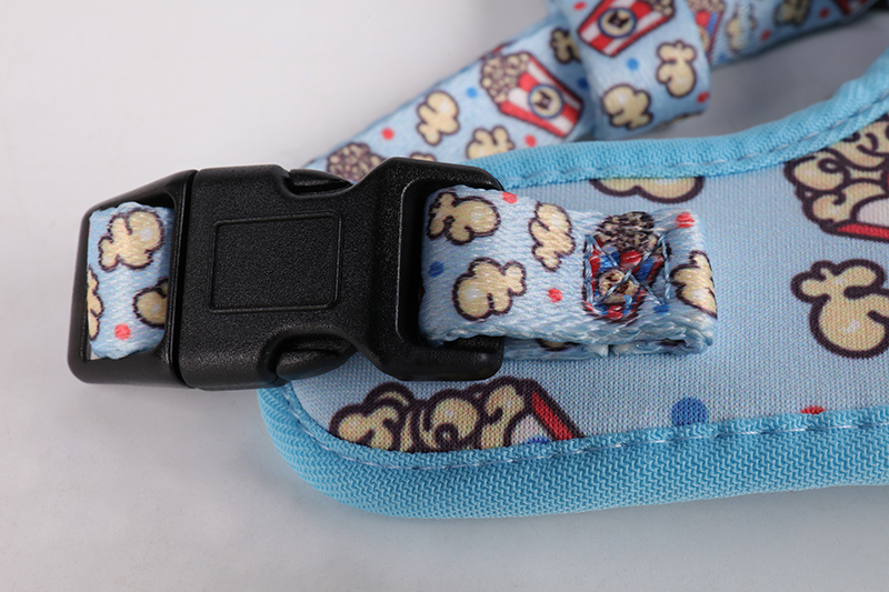 OKEYPETS - OKEYPETS Harnais de luxe pour chien avec sangles de poitrine réglables, laisse légère et facile à promener, en maille aérée respirante. Ensemble collier et laisse/harnais pour chien. 17