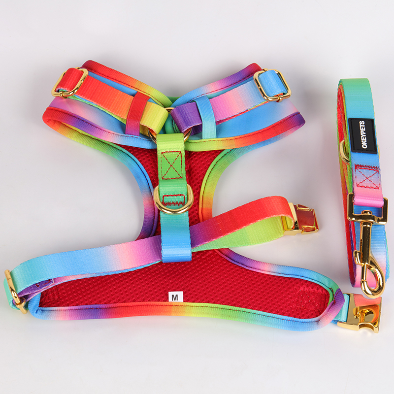 OKEYPETS - OKEYPETS Ensemble harnais et laisse pour chien en maille de haute qualité, ajustable et adorable, personnalisable ou standard. Collier et laisse pour animal de compagnie. 9