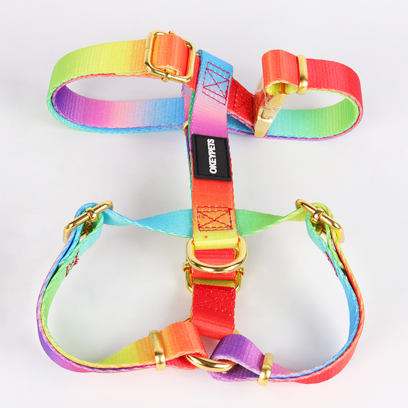 OKEYPETS - Fournisseur d'animaux de compagnie - Harnais pour chien professionnel, motif gratuit, boucle dorée réglable, ensemble laisse et collier anti-traction 10