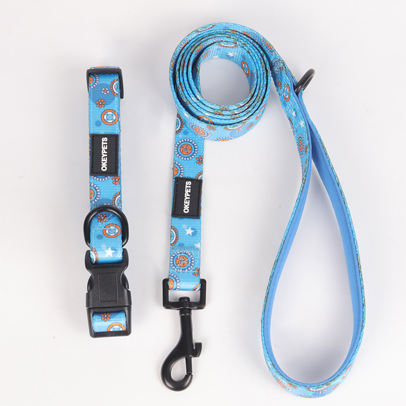 Collier pour chien OKEYPETS de luxe en polyester imprimé, personnalisable, avec nœud papillon et laisse. 24
