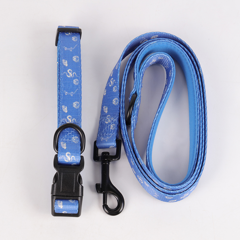 Collier pour chien OKEYPETS de luxe en polyester imprimé, personnalisable, avec nœud papillon et laisse. 21