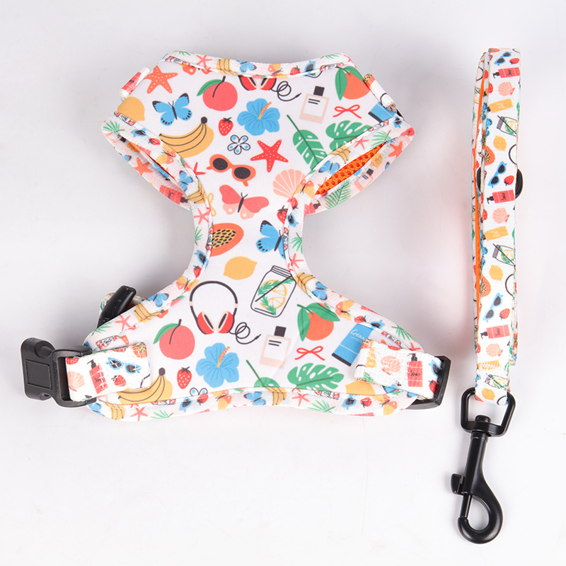 OKEYPETS - OKEYPETS Offre spéciale : laisse pour animaux de compagnie en néoprène respirant et durable, avec harnais et collier/laisse assortis. 22