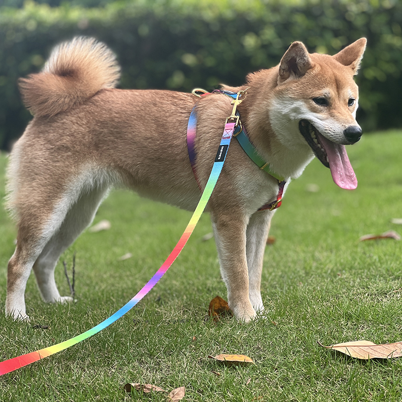 OKEYPETS - OKEYPETS Nagykereskedelmi Minőségi Színes Kisállat Autós Póráz Nyomtatott Poliészter Biztonsági Öv Heveder Kutya Biztonsági Öv Kutya Autós Póráz 8