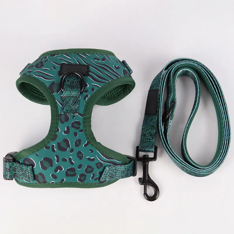OKEYPETS - OKEYPETS Ensemble harnais et laisse personnalisés, réglables, robustes et faciles à utiliser pour chiots mignons et faciles à promener. Collier et laisse pour chien. 1