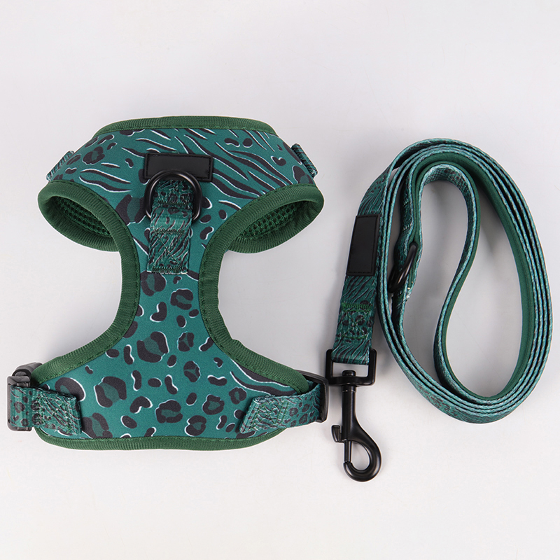 OKEYPETS - OKEYPETS Ensemble harnais et laisse personnalisés, réglables, robustes et faciles à utiliser pour chiots mignons et faciles à promener. Collier et laisse pour chien. 9
