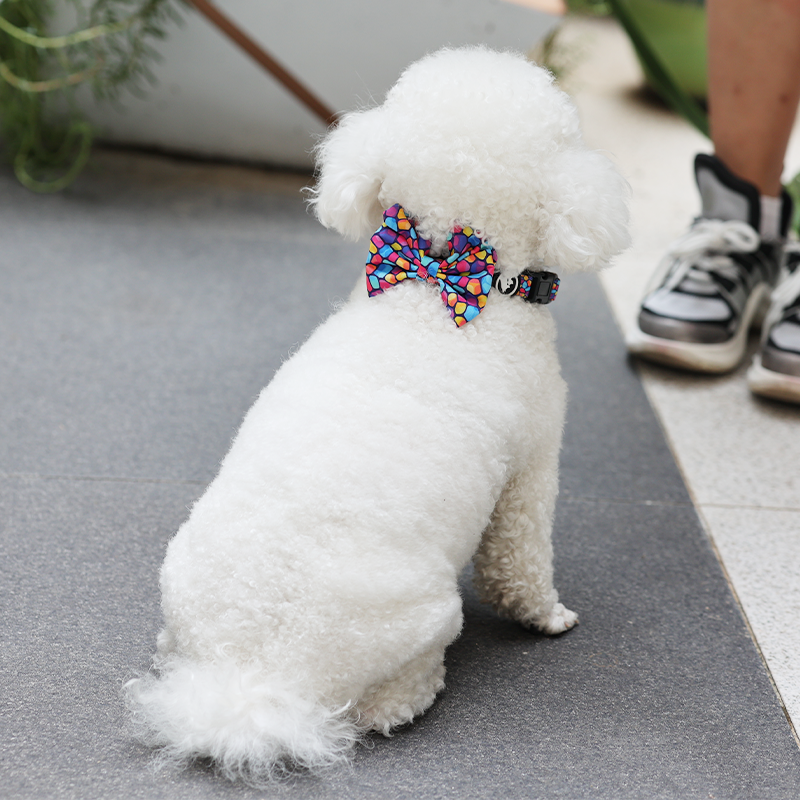 OKEYPETS - OKEYPETS Produttore di imbracature per cani personalizzate di lusso, in neoprene, regolabili e reversibili, set di imbracature per animali domestici 10