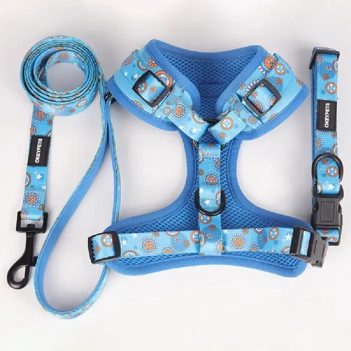 OKEYPETS - Ensemble collier et harnais pour petits chiens avec logo personnalisé et motif ajustable 1