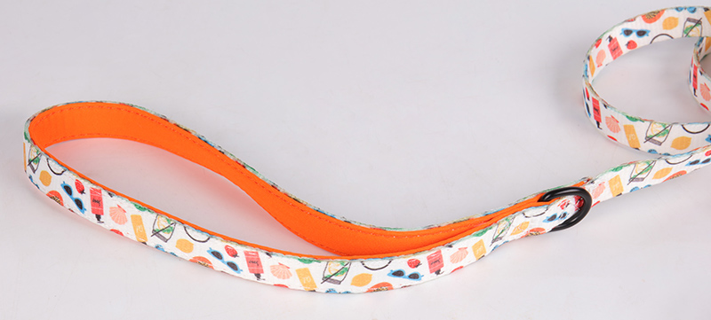 OKEYPETS パーソナライズデザイン 昇華ソフトメッシュベスト ペットハーネス 頑丈 高級 犬用首輪とリードセット 11