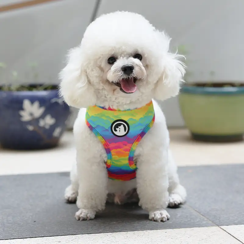 OKEYPETS - OKEYPETS Wholesale Custom Printed Dog Harness Adjustable Soft Bow Tie Leash Reversible Dog Harness Set Pet Harness 1