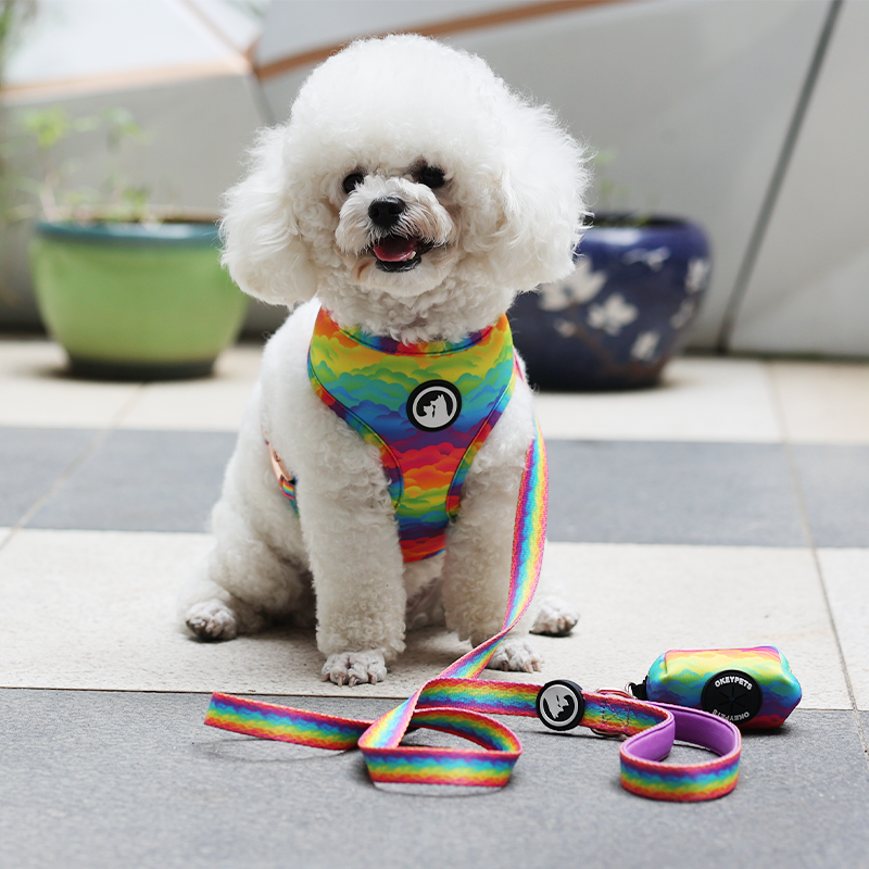 OKEYPETS - OKEYPETS Wholesale Custom Printed Dog Harness Adjustable Soft Bow Tie Leash Reversible Dog Harness Set Pet Harness 10