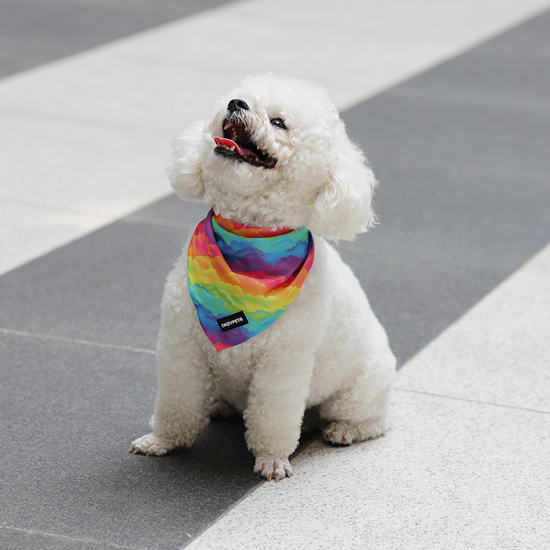 OKEYPETS - OKEYPETS Wholesale Custom Printed Dog Harness Adjustable Soft Bow Tie Leash Reversible Dog Harness Set Pet Harness 11