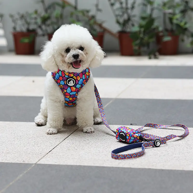 OKEYPETS - OKEYPETS Produttore di imbracature per cani personalizzate di lusso, in neoprene, regolabili e reversibili, set di imbracature per animali domestici 1